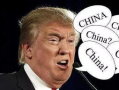 吃瓜蒙主间谍身份解析,间谍身份背后的真相与谜团
