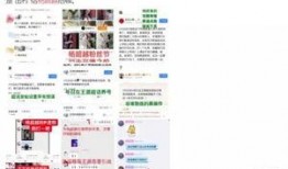 体育圈粉丝 黑料网站免费下载,粉丝黑料网站免费下载，真相与争议并存